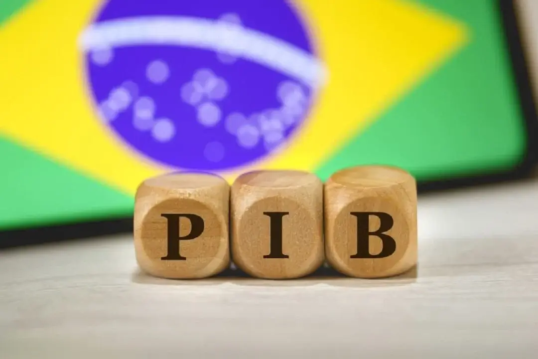 pib brasil bolsa (1) (1)