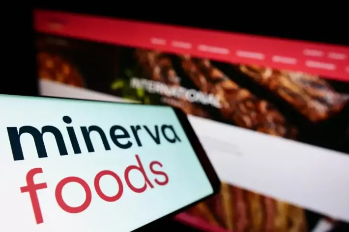 MINERVA