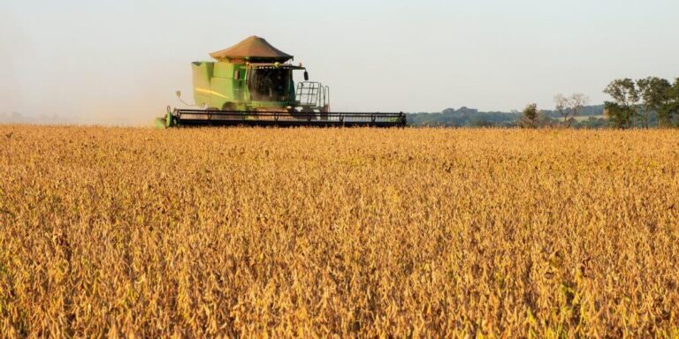 colheitadeira lavoura brasilagro